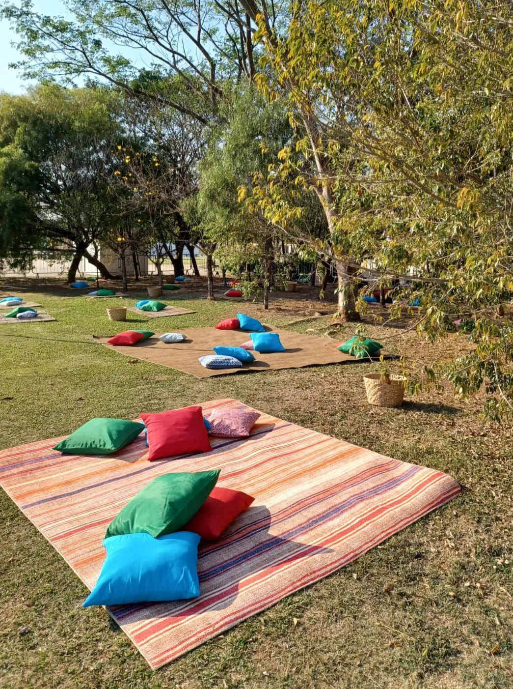 Tapete Sachi Kilim com almofadas coloridas no gramado