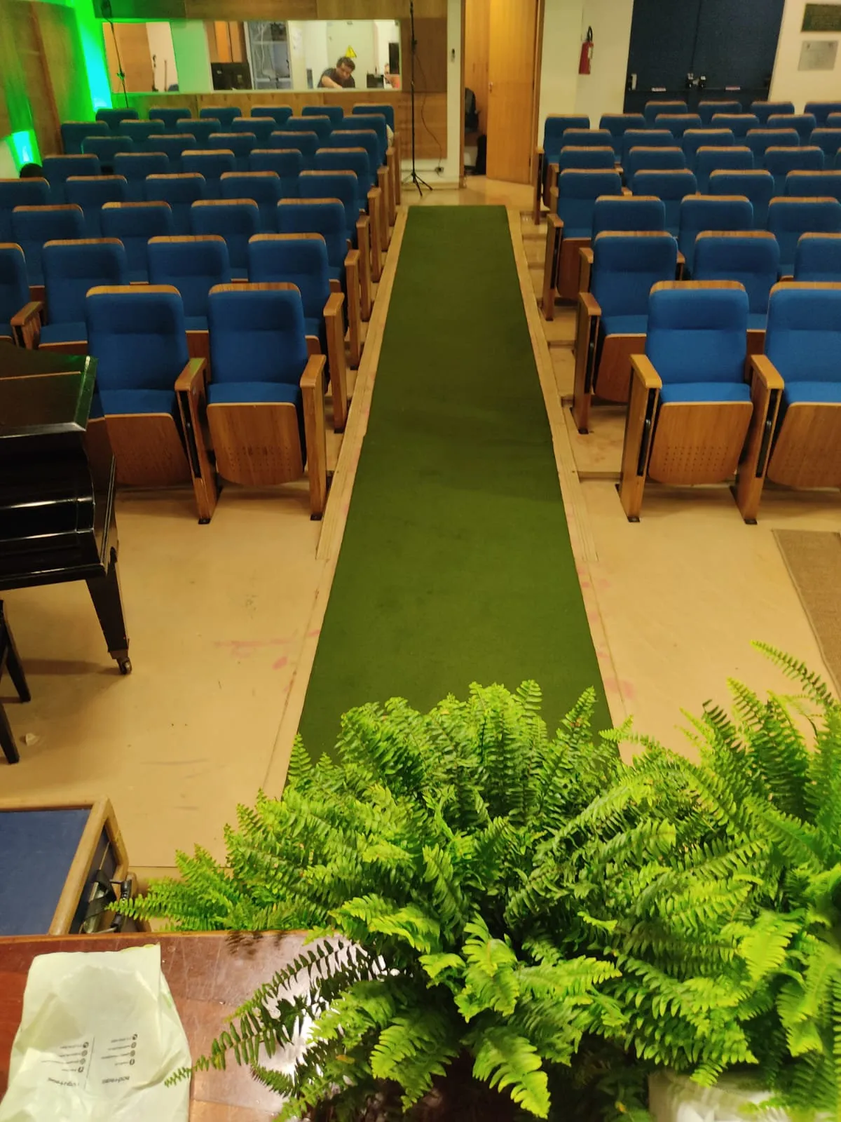 Passadeira verde no auditório